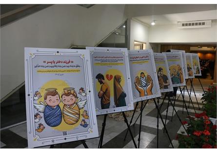 برگزاری کارگاه آموزشی "هزار روز طلایی آغازین زندگی" در کرمان + تصاویر